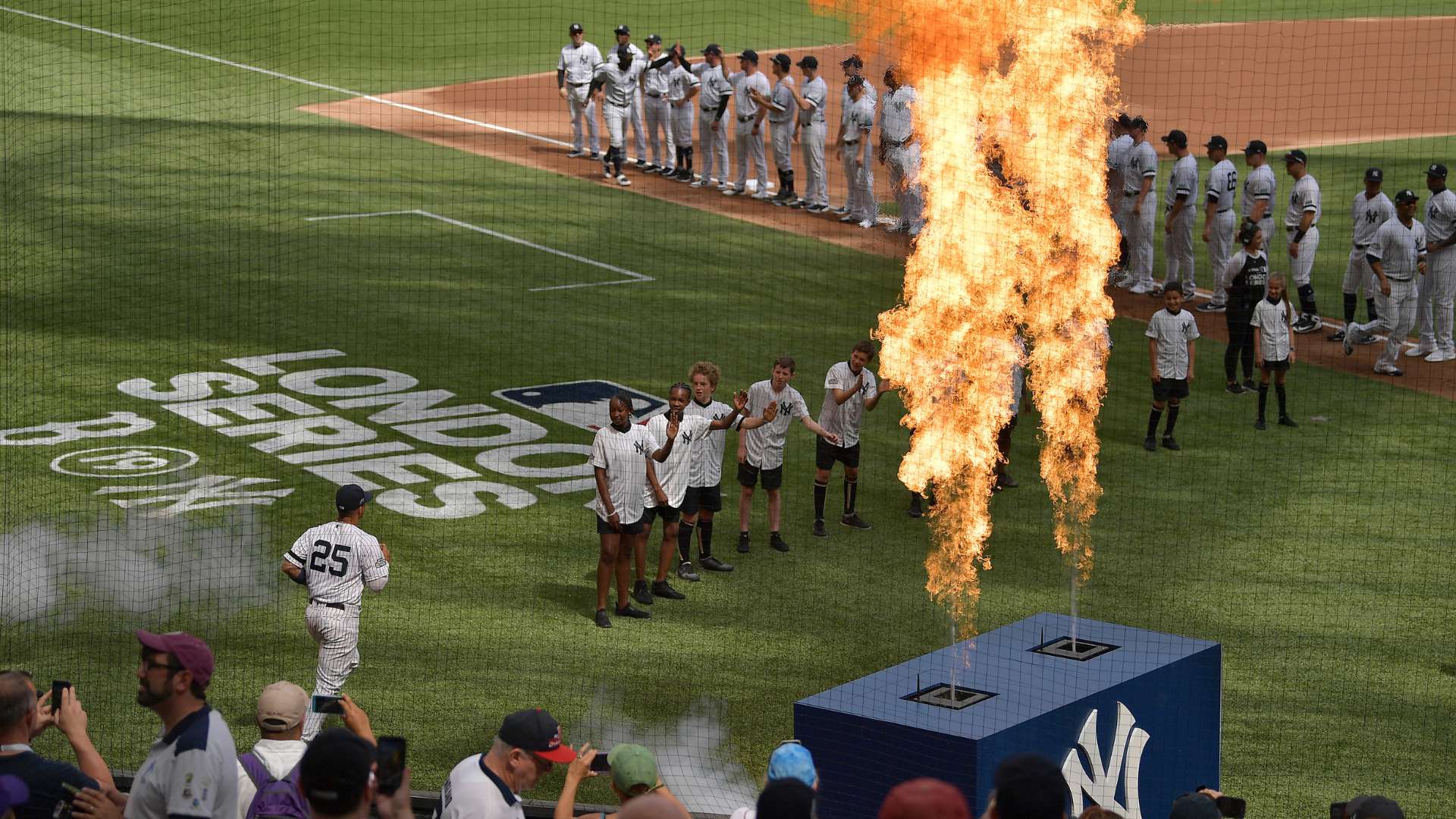 美国本土的 美国本土的